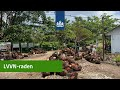 LVVN-attaché netwerk terugkom-week