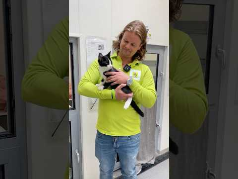 Zes maanden dierenasiel | #Ons010