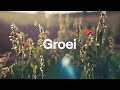 Radicaal kiezen voor groei.