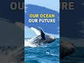 United Nations Ocean Conference 2025: Our Ocean, Our Future, Our Responsibility