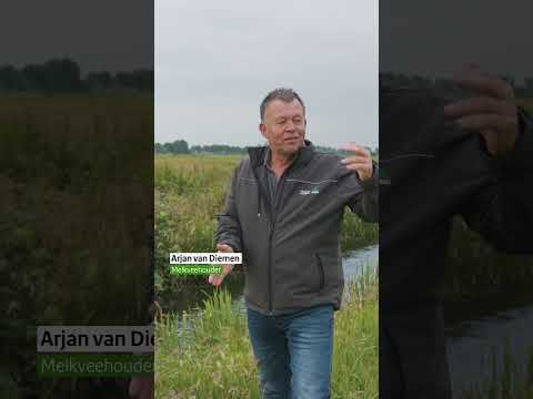 Boeren maken hun land expres nat... Maar waarom?