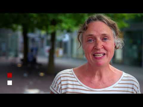 Buurtagenda Parkwijk-Zuid Zonnige Zomerweken 2025 | ONS STADSIE