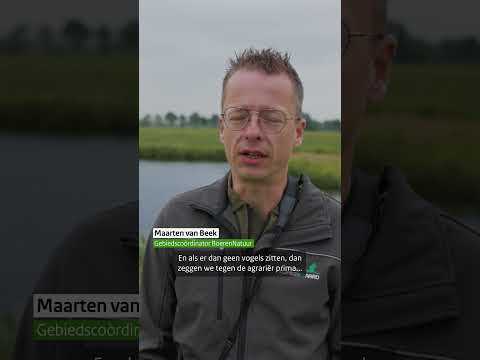 Met drones maaien? Zo redden boeren grutto&#39;s! 💡🌱
