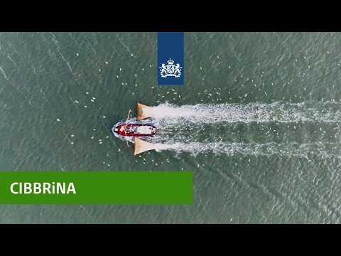 CiBBRINA | Tackling Bycatch in the Fishing Industry