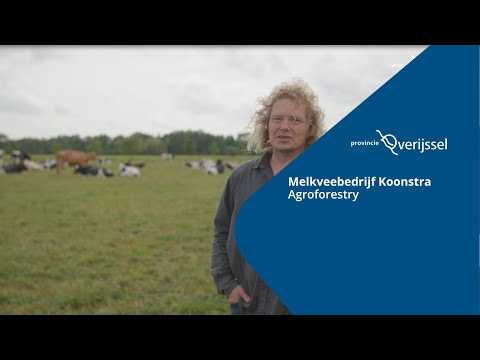 Provincie Overijssel | Agroforestry Melkveebedrijf Koonstra