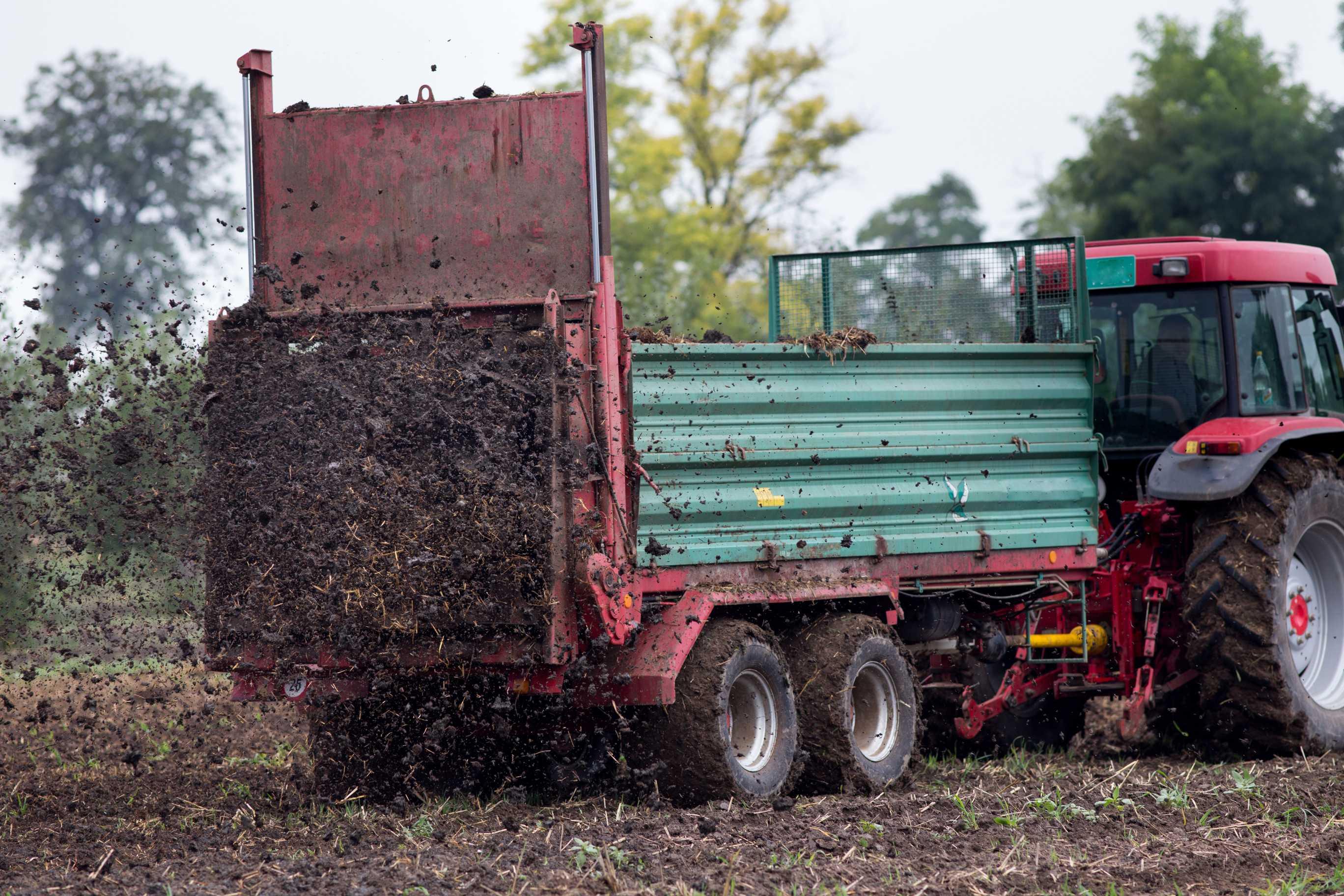 Boeren krijgen verlenging van 2 weken voor mest uitrijden