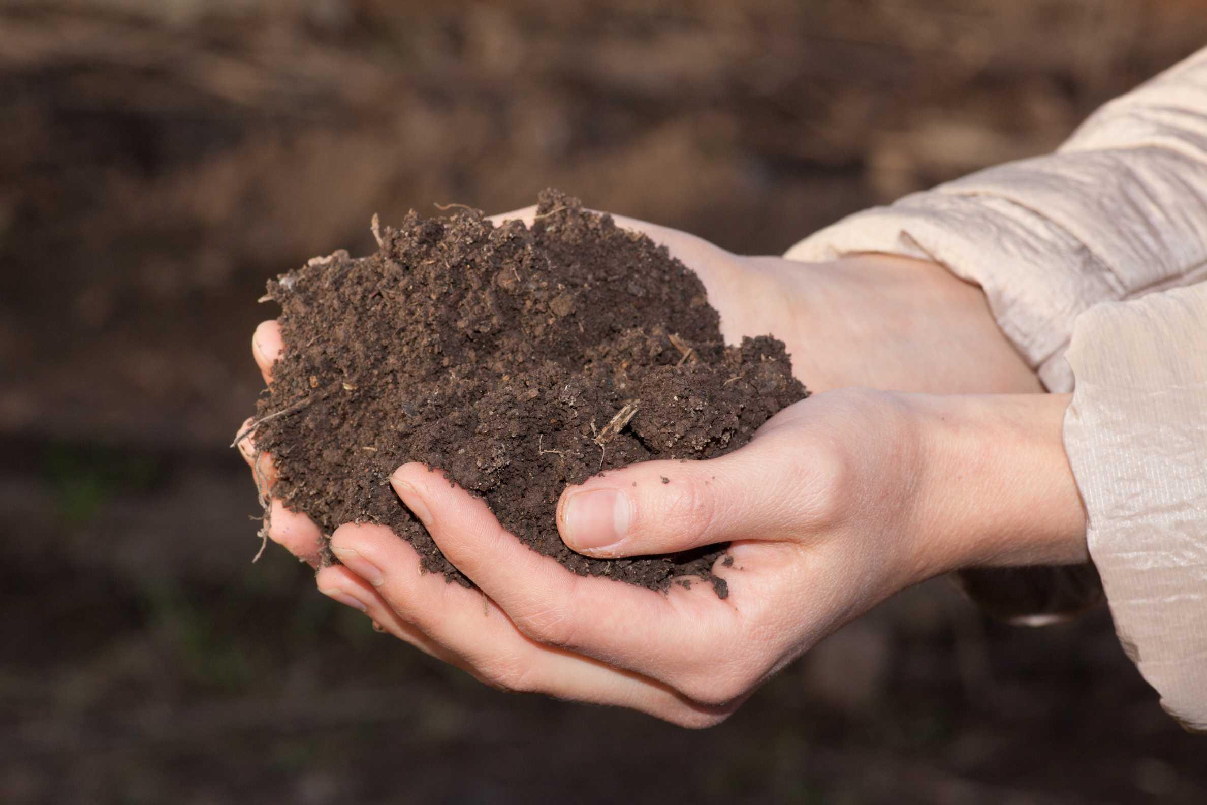 RIVM ontwikkelt ZZS-PFAS tool voor overheden en bedrijven