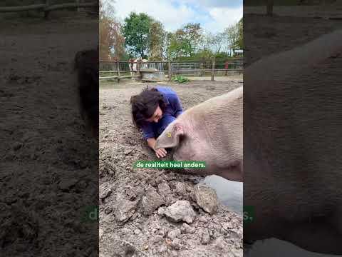 KOM naar de DIERENDAG DEMO op 4 oktober!