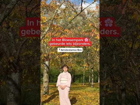 Het Bloesempark krijgt nieuwe kersenbomen. Dat werd met een bijzondere Shinto ceremonie gevierd.