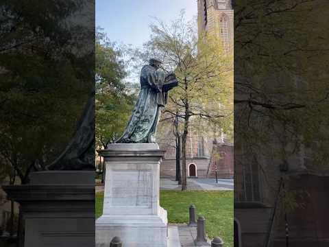 Het verhaal van Erasmus | #Ons010