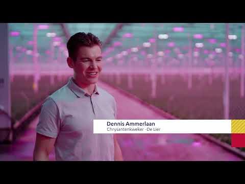 Toekomst Landelijk gebied Zuid-Holland: Cornelis en Dennis - jonge tuinders | Provincie Zuid-Holland