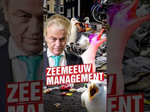 🦅 Ze komen krijsend aanvliegen en schijten de boel onder