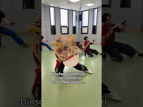 De voorbereidingen voor de leeuwendans voor het Lunar Nieuwjaar zijn begonnen 🐲