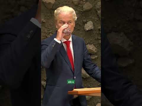 De VARKENSBOEREN zijn WILDERS zeer lief