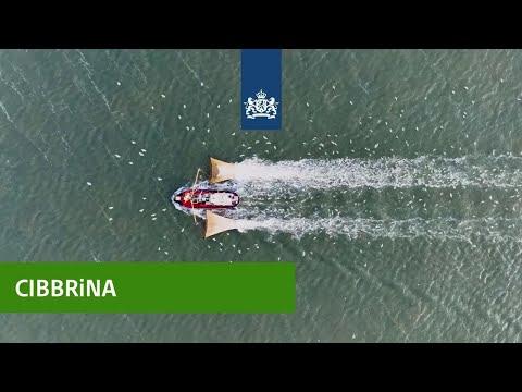 CiBBRINA | Tackling Bycatch in the Fishing Industry