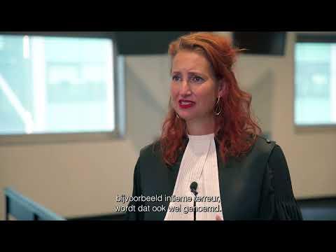 Rode vlaggen van femicide - Judith