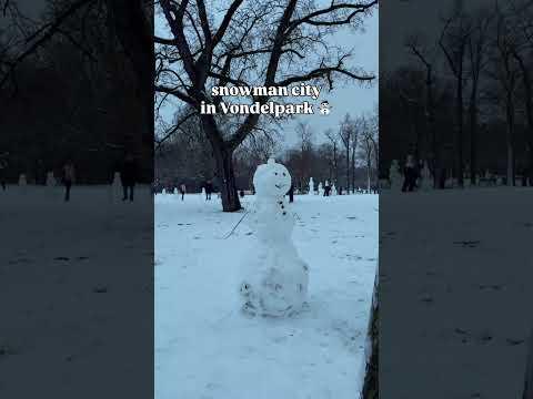 Sneeuw in Amsterdam ☃️