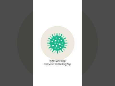 Wat is het norovirus?